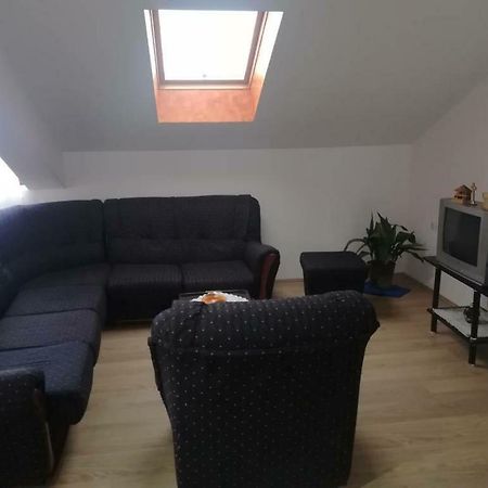 Apartman Ivana Ica Soko Banja Esterno foto