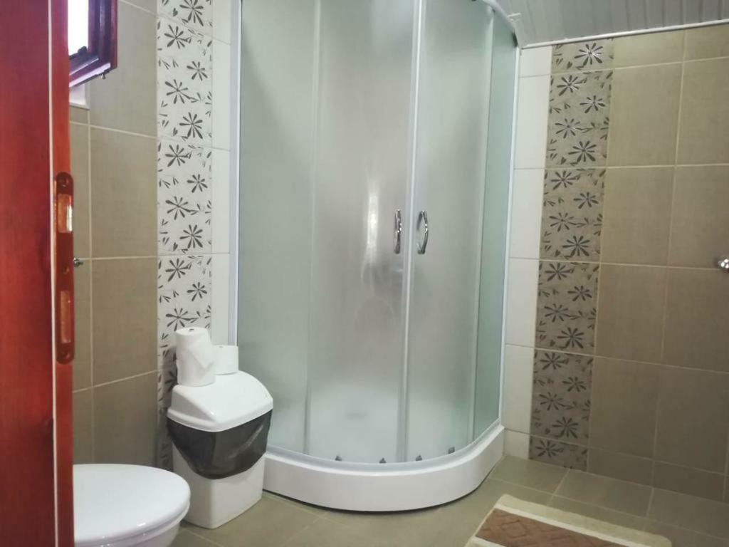 Apartman Ivana Ica Soko Banja Esterno foto